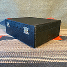 Refurbished RenuLIfe Model 2 for sale